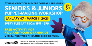 SENIORS & JUNIORS Puppet Making Workshop in Mississauga, Ontario. Arts and Crafts Activity